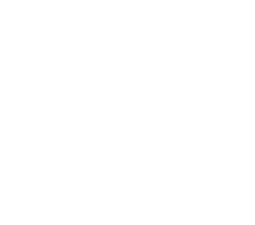 RED RAPTOR Business Logo